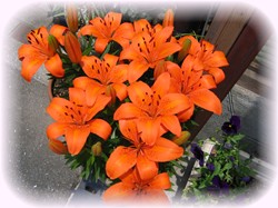 豪華だね～～眩しいよぉ～～～♪