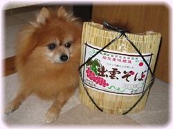 あたしはこれ食べられないよね・・・。