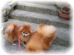 階段を下りたら川だよ～～☆