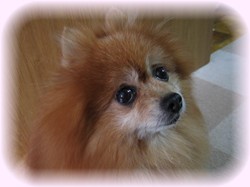 もうごはん食べられるかな？？？