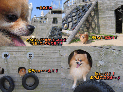 着いた所は角島でした！