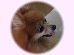 元気になったよ♪