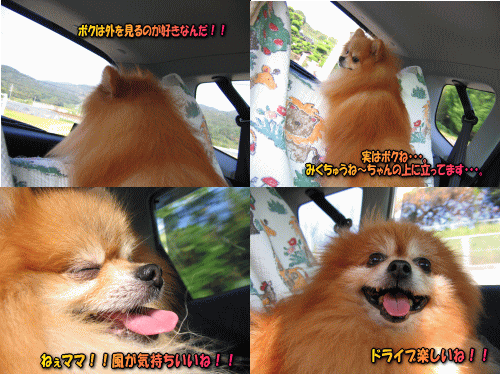 車の中での未来と宙だよ