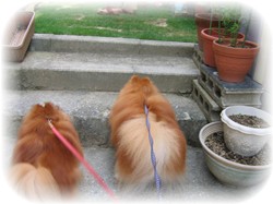 つまんないからもう帰ろぉ～～っと。