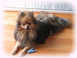 ボク、何か悪いことしましたか？？？