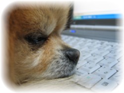 ここで寝てやるさ・・・。