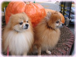 こっち向いて～～～！！