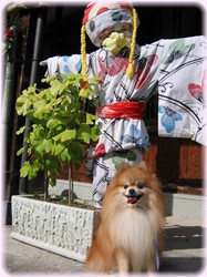 かかしさんとボクのツーショット♪