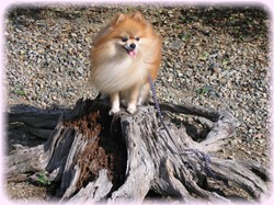 楽しいなぁ～♪