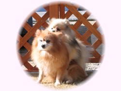 あたちはガキには興味ないのよねぇ・・・。