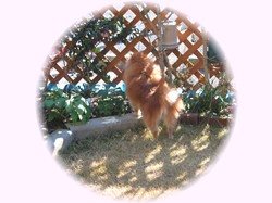 あたちはここよ～～～～！！誰か遊びに来て～～～！！