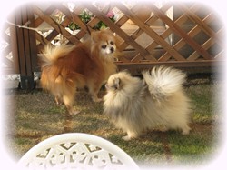 またあたし・・・。豆に狙われてるのよぉ。。。