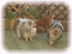 翔君・・・何してるの～？？？