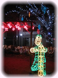 キラキラ～～～♪