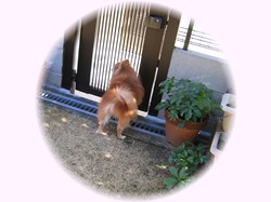 こんにちわ～～～！！未来です！！誰か出てきてくださぁ～い！！