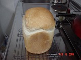 DSC03075.jpg