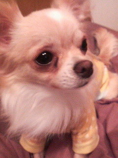 P1000129.jpg