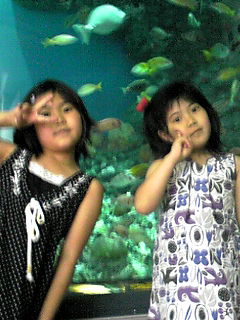 Nics 水族館にて