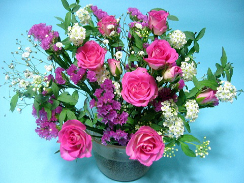 IMG_9846-480 - コピー.jpg