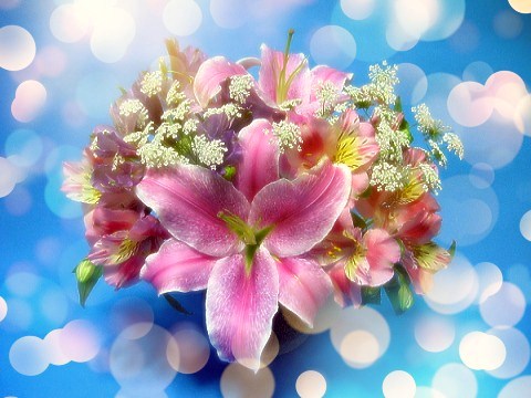 5EbQ7cV2w-uh2VFNZ3TjVQ - コピー.jpg