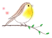 bird10.gif