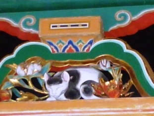 眠り猫.jpg