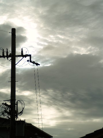 P5198271 Web 表示用 (中).jpg