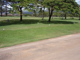 画像 050.jpg