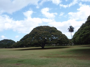 画像 128.jpg