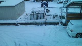 20100206170314.jpg