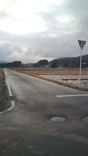 20110209135253.jpg