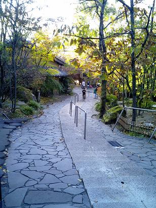 夢想園の急阪.JPG