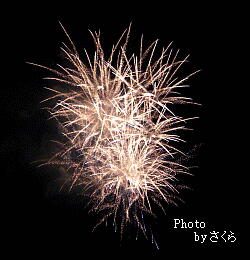 080802　岡崎花火大会３