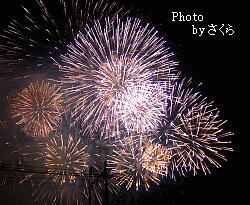 080802岡崎花火２
