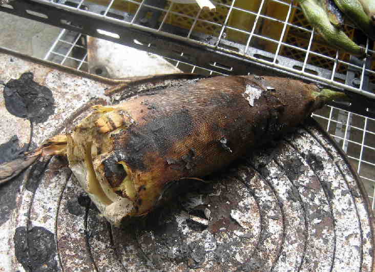 新鮮はシンプルに焼き筍でした