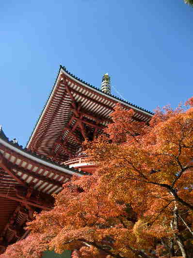 成田山・平和の大塔