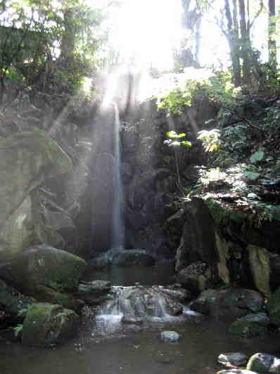 成田山公園・雄飛の滝