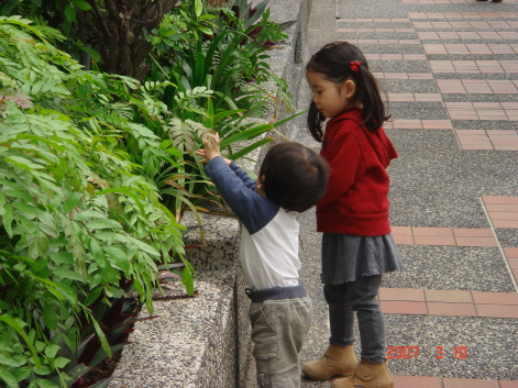 仲良くお散歩２