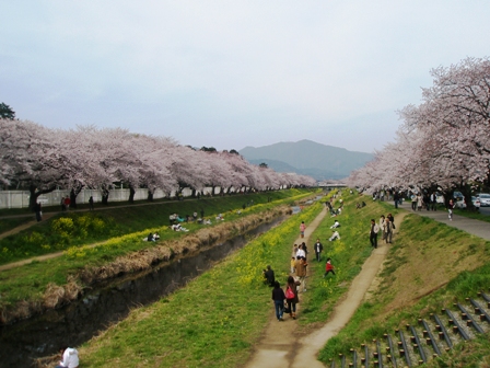 2009040802