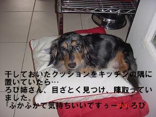 2006-10-17 ろび 011”.JPG