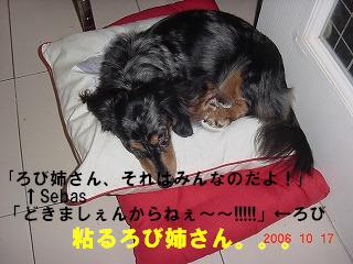 2006-10-17 ろび 001”.JPG