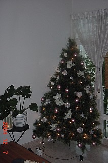 2004 Xmas Tree.jpg