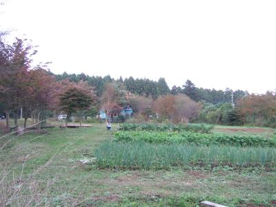 20101027　シュタイナー　　農園