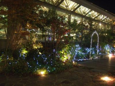 20101213クリスマスイルミネーション１