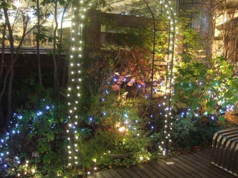 20101213クリスマスイルミネーション３