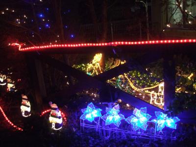 20101219クリスマスイルミネーション５