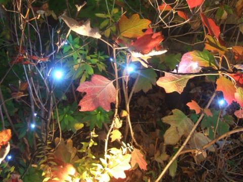 20101213クリスマスイルミネーション４