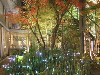 20101213クリスマスイルミネーション５