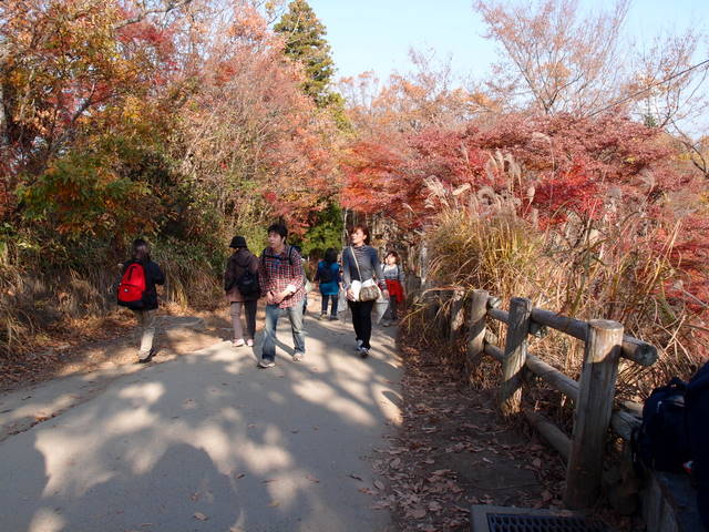 20111130高尾山頂上近く