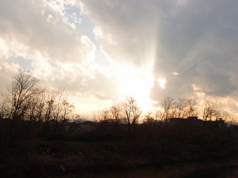 20111219アトリエ近くの河原の夕暮れ